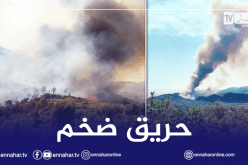 إندلاع حريق غابة بمنطقة واد زهور في سكيكدة