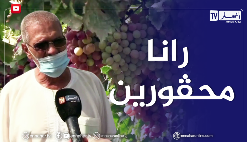 فلاحة: بعد تحقيقهم لإنتاج وفير..منتجو العنب ببومرداس يوجهون نداء للوزارة