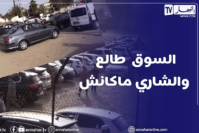 TOUTES OPTIONS: أسعار السيارات المستعملة من سوق تيجلابين