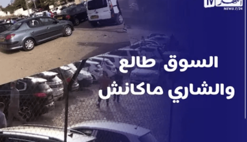 TOUTES OPTIONS: أسعار السيارات المستعملة من سوق تيجلابين