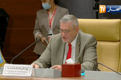 المبعوث الأممي إلى ليبيا: استمرار تواجد القوات الأجنبية مبعث قلق لدول الجوار