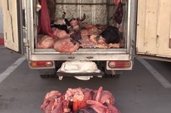 سطيف.. حجز 11.5 قنطار من اللحوم الحمراء فاسدة موجهة للإستهلاك