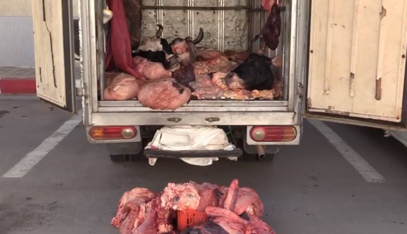 سطيف.. حجز 11.5 قنطار من اللحوم الحمراء فاسدة موجهة للإستهلاك