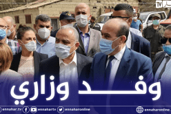 وفد وزاري يتنقل إلى تيزي وزو للوقوف على خسائر الحرائق