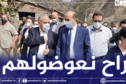 وزير الداخلية: الدولة ستتكفل بأضرار الحرائق وأولويتنا حماية المواطنين