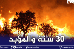 عبد الحميد عفرا: تجريم الحرق العمدي للغابات.. وهذه عقوبته