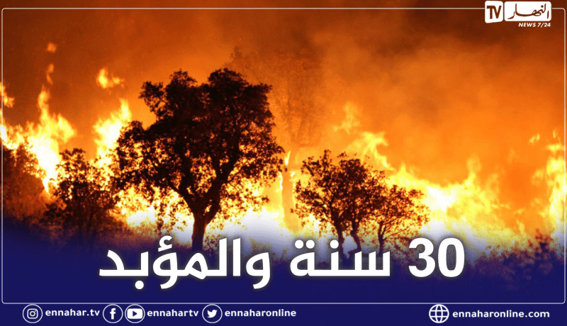 عبد الحميد عفرا: تجريم الحرق العمدي للغابات.. وهذه عقوبته