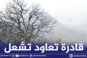 موفد تلفزيون النهار: الحرائق لم تخمد بشكل نهائي وإمكانية اشتعالها بفعل الرياح