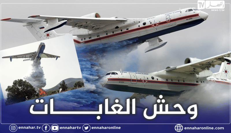 الجزائر ستقتني 4 منها.. هذه مواصفات الطائرة البرمائية “B-200” الروسية