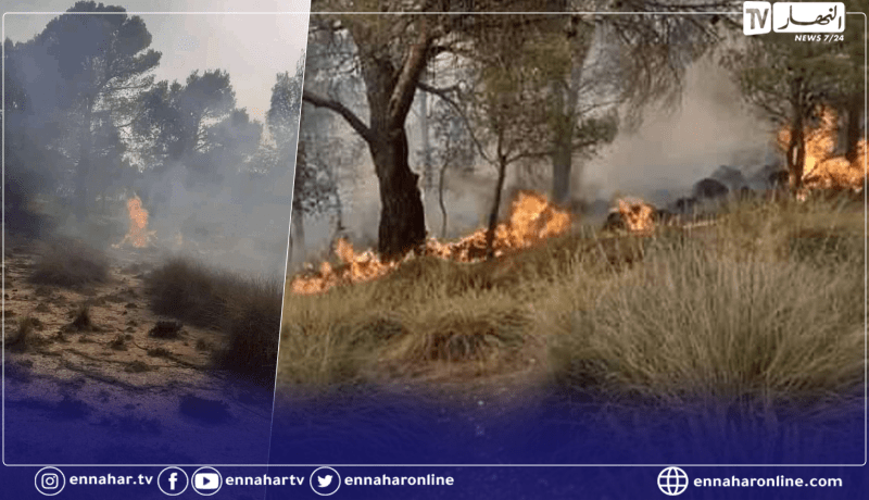 تبسة: تواصل إخماد الحريق في غابة جبل الطاقة بالحويجبات