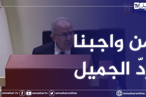 لعمامرة: مشاكل دولة مالي كبيرة لكن من وجابنا ردّ الجميل إليهم ونحن مقتنعون أن مصرينا مشترك