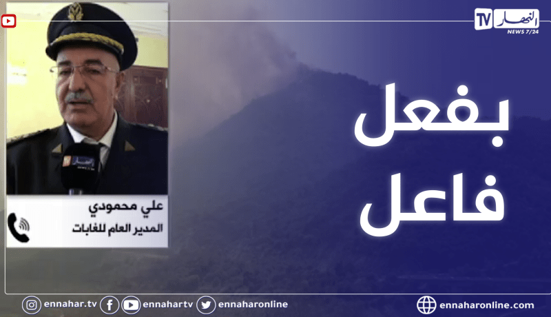 المدير العام للغابات: يكشف الأسباب الأولية لحرائق الغابات التي عرفتها عدد من الولايات