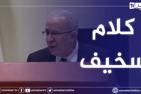 لعمامرة: ما قيل عن علاقاتنا مع إيران كلام سخيف ولا يستحق الردّ عليه