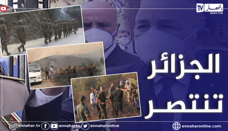 الجزائر تنتصر دائما على الازمات بحكومتها وتضحيات جيشها ووحدة شعبها