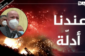 الوزير الأول: إنطلاق الحرائق كانت بفعل أيادي اجرامية ولدينا أدلة على ذلك