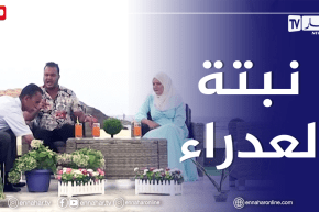 الصيف يحلى معنا/ نبتة العدراء.. طرق وكيفية الإعتناء بها