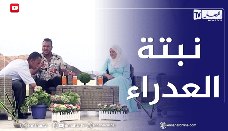 الصيف يحلى معنا/ نبتة العدراء.. طرق وكيفية الإعتناء بها