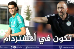 بلماضي يمتدح زروقي ويرد على منتقديه