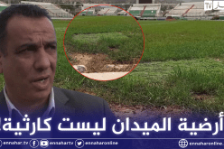 ناصري: “جيبوتي عجبتهم أرضية الميدان.. وماشفتوش الحمّام لي بنيناه” !