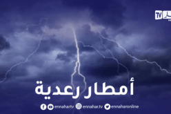 أمطار رعدية على 7 ولايات بداية من الثالثة زوالا