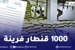 مجمع الصناعات الغذائية “agrodiv”: إجراءات استعجالية لمواجهة الضغط على مادة الفرينة