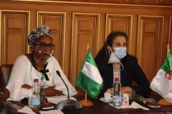 تأسيس مجلس الأعمال النيجيري الجزائري قريبا