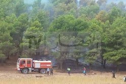 قالمة: نشوب حريق في غابة بمنطقة كاف الريح
