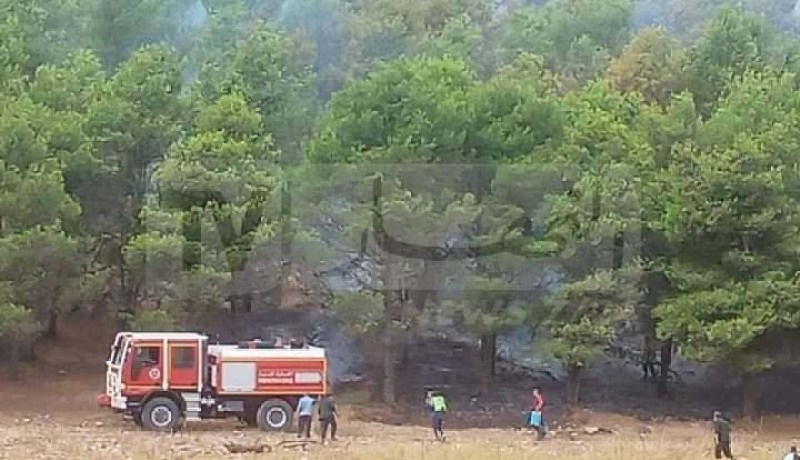 قالمة: نشوب حريق في غابة بمنطقة كاف الريح