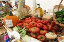 حمداني.. الغرف الفلاحية غائبة