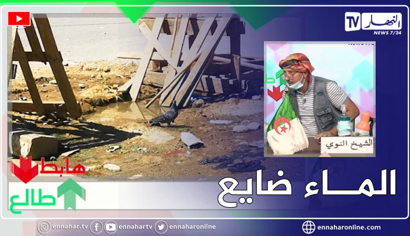 “طالع هابط: الشيخ النوي يفـ ـضح سياسة البريكولاج ..”الماء ضايع والحمام يعوم في بودواو