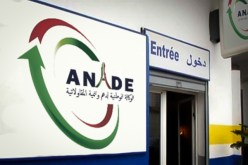 أناد.. قبول 146 ملفا لتعويض المؤسسات المتعثرة