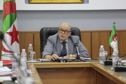 تنصيب اللجنة القطاعية المكلفة بتسيير سوق التشغيل في ولايات الجنوب