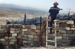الشلف: إندلاع حريق في إسطبل لتربية الأغنام يحدث حالة طوارئ بالشطية