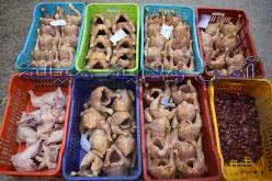 حجز 7 قناطير من الدجاج الفاسد في ميلة