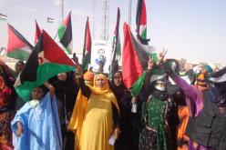 عرض الفيلم الوثائقي “الصحراويون ..شعب منسي” ببلجيكا