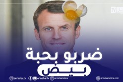 بالفيديو.. رشق الرئيس الفرنسي ماكرون بالبيض