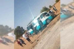 مجزرة النعامة.. إرتفاع عدد الضحايا إلى 13 وفاة