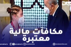 هذه قيمة المكافآت المالية التي منحها رئيس الجمهورية لأبطال ذوي الهمم