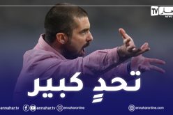 مدرب جيبوتي :”لهذا السبب مواجهة الخضر سهلة بالنسبة لنا”