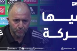 هذا ماقاله بلماضي حول المنح المقدمة له وللاعبي المنتخب من الإتحادية الجزائرية لكرة القدم