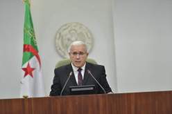 بوغالي: الجزائر قوية بشعبها المتبصر وبجيشها
