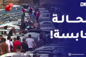 إستيراد المركبات .. ملف مجمد والناقلين أبرز المتضررين