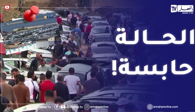 إستيراد المركبات .. ملف مجمد والناقلين أبرز المتضررين