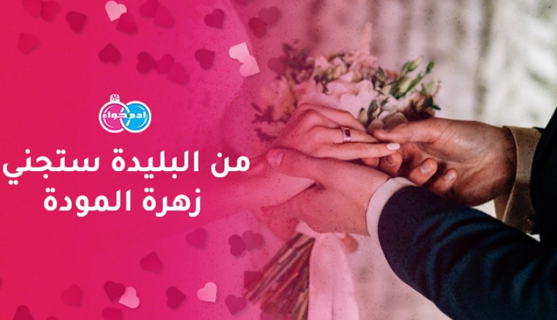 هل من أرمل أكون أمّا لأولاده