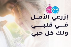 سطايفي أصيل سيمنحك المحبة