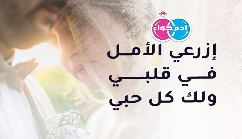 سطايفي أصيل سيمنحك المحبة