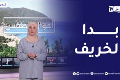 أحوال الطقس / أجواء مستقرة على أغلب ولايات الوطن