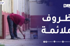 تحضيرات مكثفة لجاهزية المؤسسات التربوية عشية الدخول المدرسي