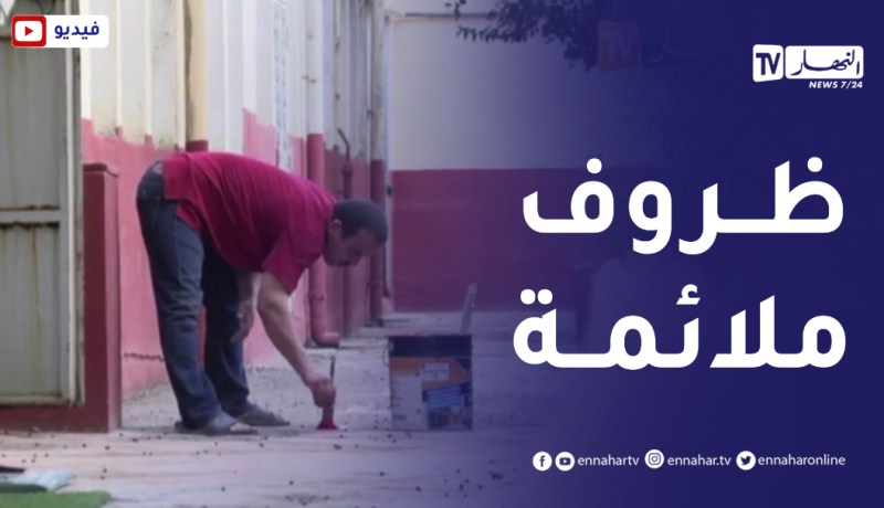 تحضيرات مكثفة لجاهزية المؤسسات التربوية عشية الدخول المدرسي