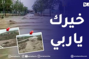 تساقط أمطار غزيرة بالعديد من ولايات الوطن